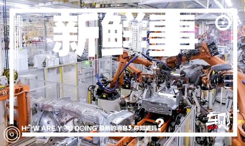 走進(jìn)上汽大眾長沙工廠 車媒老鳥的圓夢之旅，探秘斯柯達(dá)泥地打樁機(jī)般完美品質(zhì)